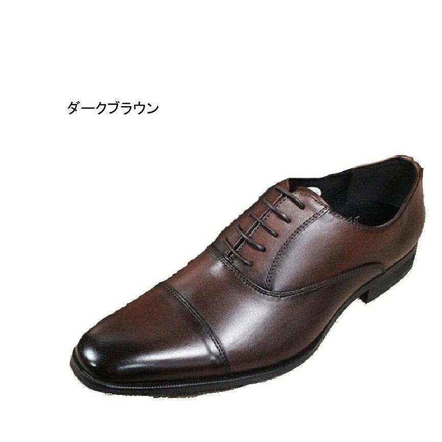 マドラス社製 ペリーコレクション PR2047 3E MDL/エムディーエル後継