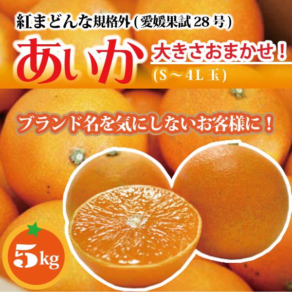【お年玉クーポン 15％OFF】紅まどんな同品種 あいか ５kg S〜4Lサイズ 大きさおまかせ 訳あり・ご家庭用 フルーツ 愛媛産 愛媛果試28号 送料無料 | 