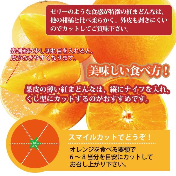 現在ご注文ご発送年明けになります。 紅まどんな規格外 あいか ５kg S