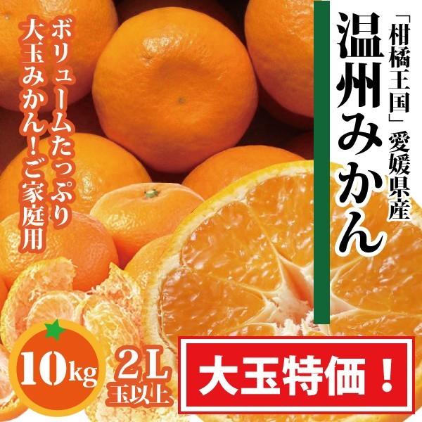 大玉 愛媛 温州 みかん 10kg 2L玉以上 訳あり フルーツ 愛媛県産 送料