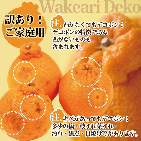 デコポン でこぽん みかん訳あり 不知火しらぬい 愛媛産 送料 デコポン でこぽん みかん訳あり 不知火しらぬい 愛媛産 送料