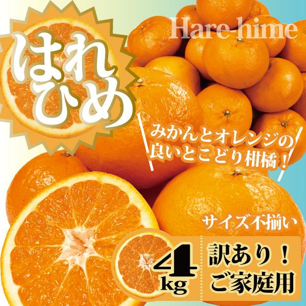 はれひめ みかん 愛媛産 送料無料 4kg 訳あり ご家庭用｜Footmark