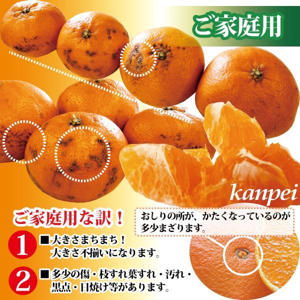 みかん 甘平 愛媛県産 かんぺい キズキズ 送料無料! 訳あり ご みかん 甘平 愛媛県産 かんぺい キズキズ 送料無料! 訳あり ご