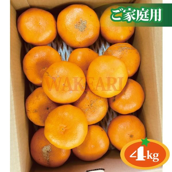 みかん 甘平 愛媛県産 かんぺい 送料無料 訳あり ご家庭用 4kg みかん 甘平 愛媛県産 かんぺい 送料無料 訳あり ご家庭用 4kg