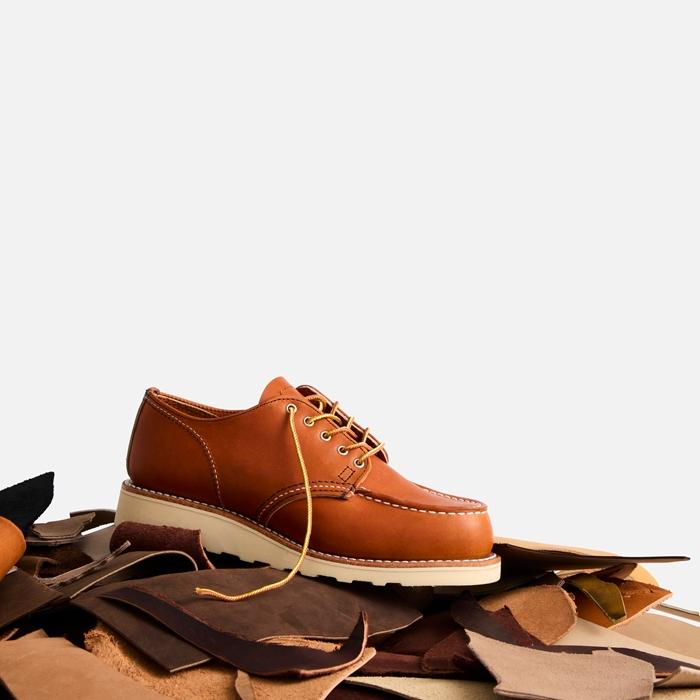 ＲＥＤ WING　美品です。 877 8