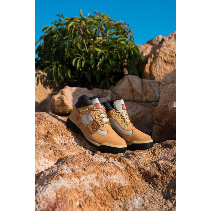 Timberland FIELD BOOT ティンバーランドフィールドブーツ 0A18RI
