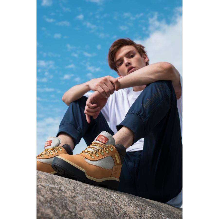 Timberland FIELD BOOT ティンバーランドフィールドブーツ 0A18RI