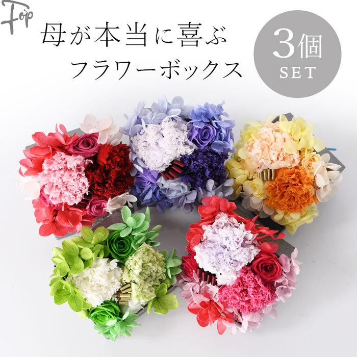 母の日 花 ボリューム プレゼント カーネーション ギフト プリザーブド