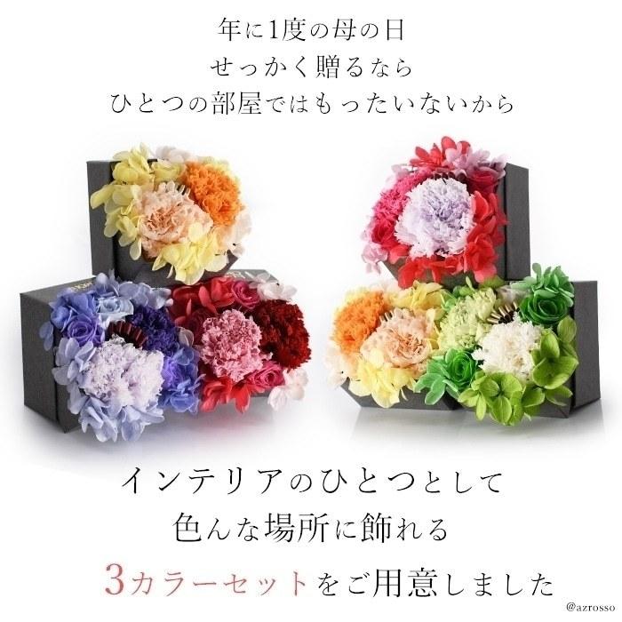 母の日 花 ボリューム プレゼント カーネーション ギフト プリザーブド