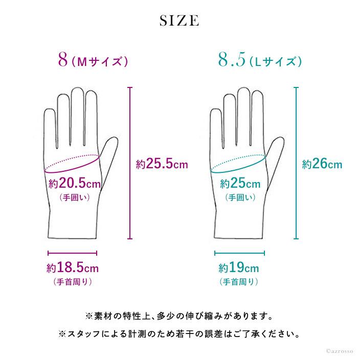 DENTS（デンツ） スマホ対応 本革 耐水 レザー 手袋 メンズ 定年 退職