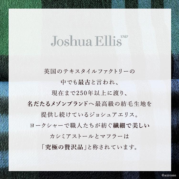 ジョシュアエリス 大きい メンズ 定年 退職 ストール メンズ 定年 退職 マフラー カシミヤ100% 大判 冬 防寒 暖かい おしゃれ グリーン ブルーの画像