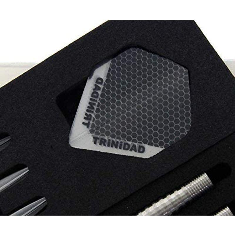 驚きの値段】トリニダード(TRiNiDAD) プロ チャベス3 Soft 全長46.0mm