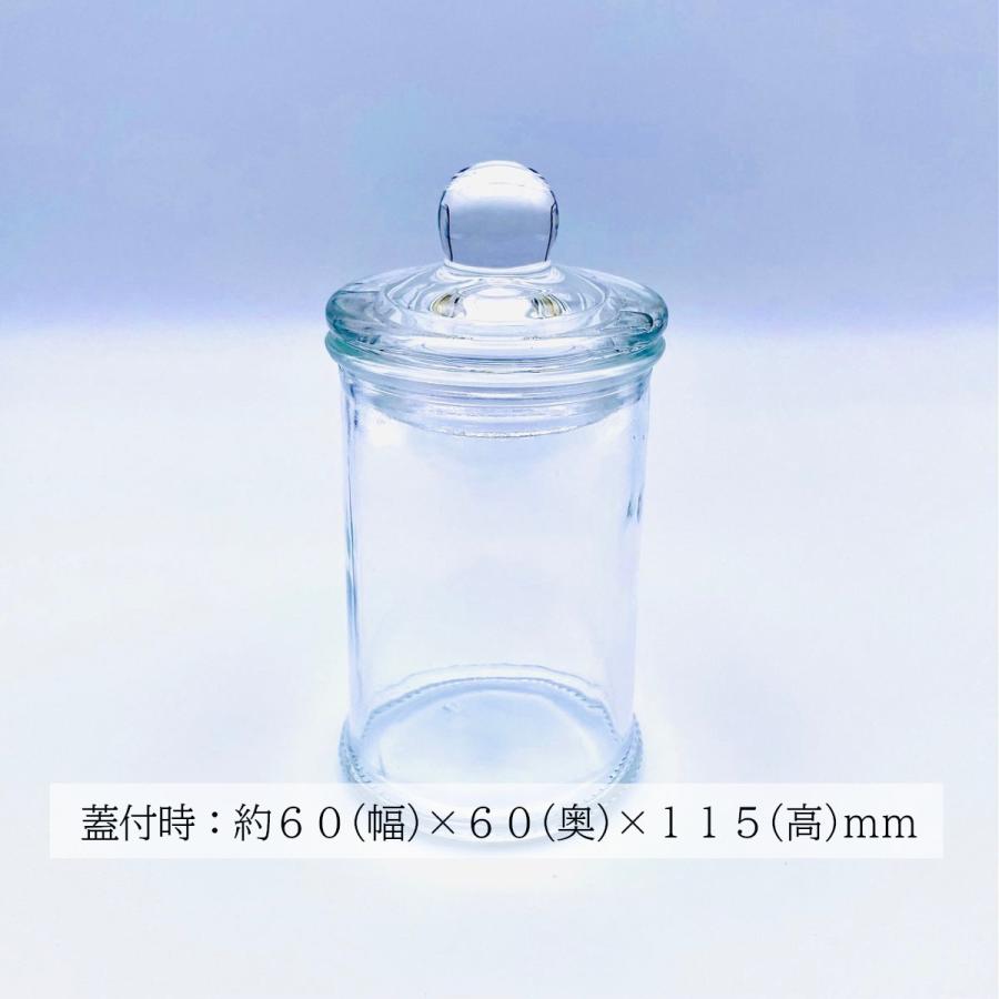 蓋付 テラリウム用ガラス容器 60 115mm キャニスター 苔テラリウム 自作用容器 インテリア Gc 003 フォレストジャパン 通販 Yahoo ショッピング