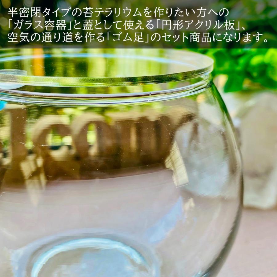 激安大特価 蓋付きテラリウム用ガラス容器lサイズ 100 85mm バブルボール 苔テラリウム 自作用容器 インテリア Wantannas Go Id