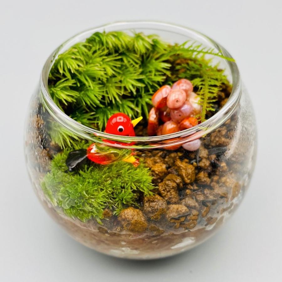 おトク情報がいっぱい 仕事運祈願の苔テラリウムsサイズ 完成品 鉱石さざれ石セット 盆栽 プレゼント ギフト 贈り物 祝い事 父の日 母の日 敬老の日 感謝 勤労感謝 Medimind Com Au
