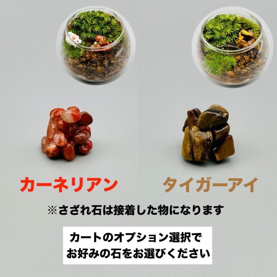おトク情報がいっぱい 仕事運祈願の苔テラリウムsサイズ 完成品 鉱石さざれ石セット 盆栽 プレゼント ギフト 贈り物 祝い事 父の日 母の日 敬老の日 感謝 勤労感謝 Medimind Com Au