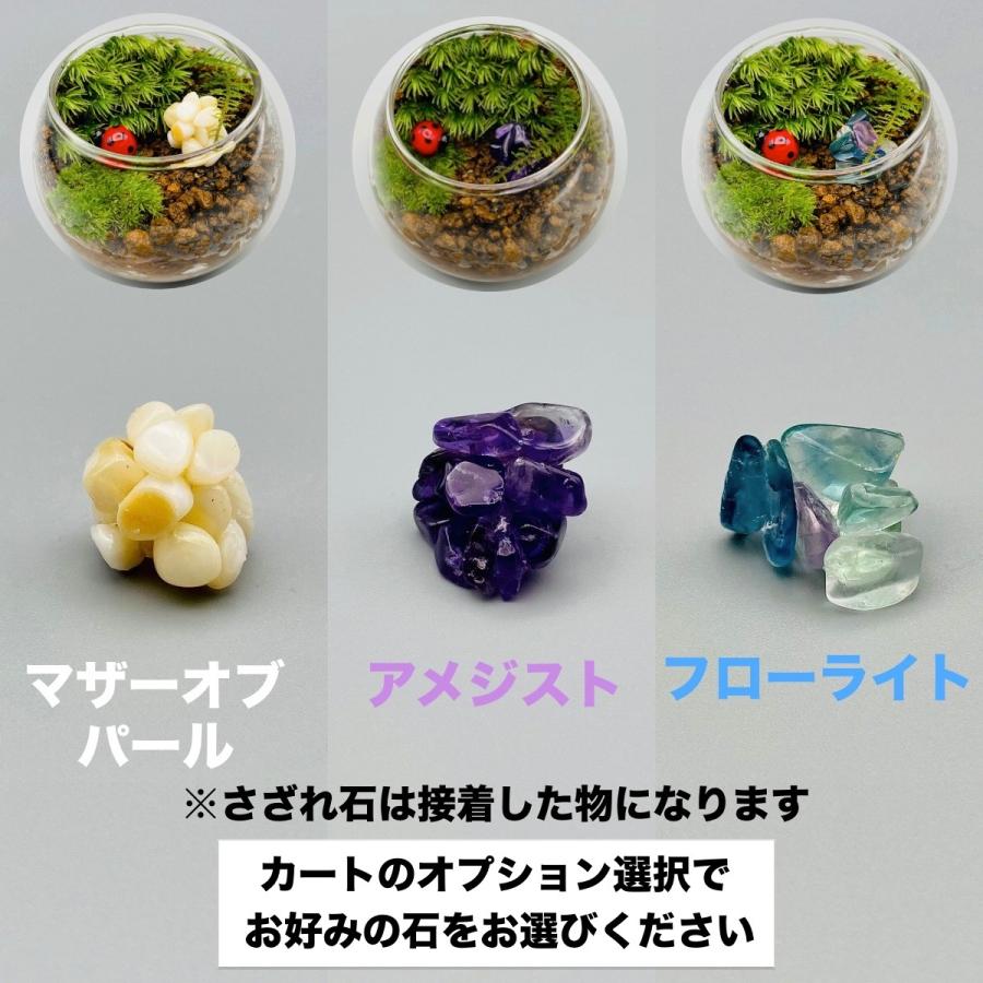 4円 購入 恋愛運祈願の苔テラリウムsサイズ 完成品 鉱石さざれ石セット 苔テラリウム 盆栽 観葉植物 ギフト 贈り物 プレゼント 誕生日 祝い事