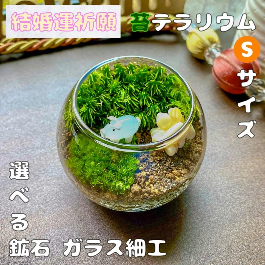 4円 人気no 1 本体 結婚運祈願の苔テラリウムsサイズ 完成品 鉱石さざれ石セット 苔テラリウム 苔盆栽 パワーストーン インテリア雑貨 ギフト プレゼント 贈り物