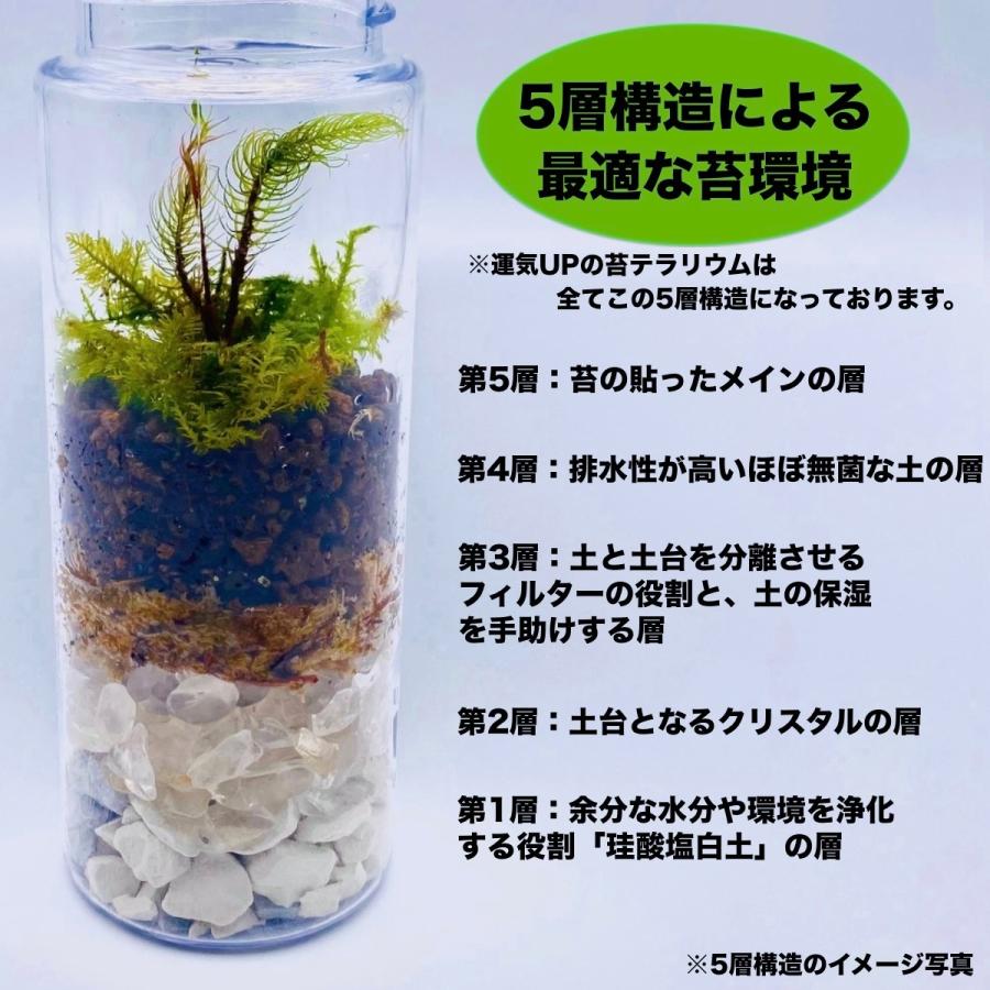 仕事運祈願の苔テラリウムlサイズ 選べる鉱石 ガラス細工 完成品 父の日 母の日 子供の日 プレゼント 贈り物 ギフト 勤労感謝 敬老 新卒 社会人 祝い事 Koketerrarium 011 フォレストジャパン 通販 Yahoo ショッピング