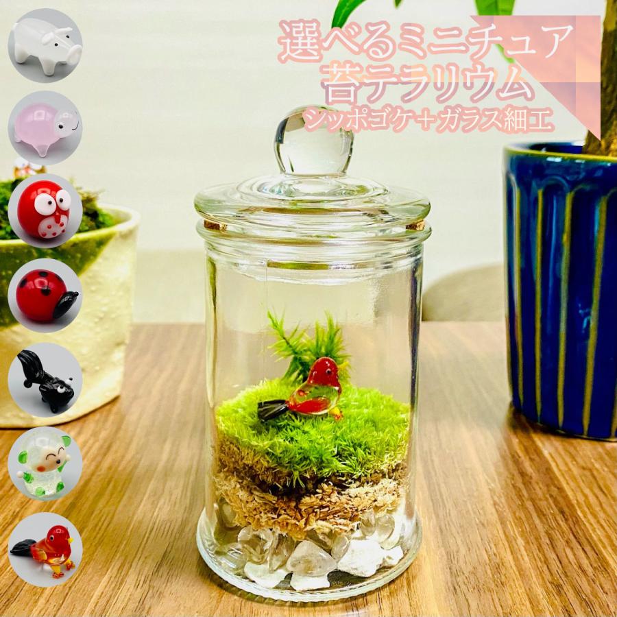 苔テラリウム 選べるガラス細工 シッポゴケ 完成品 観葉植物 インテリア雑貨 盆栽 ガラス瓶 蓋 プレゼント 贈り物 ギフト Koketerrarium 0 フォレストジャパン 通販 Yahoo ショッピング