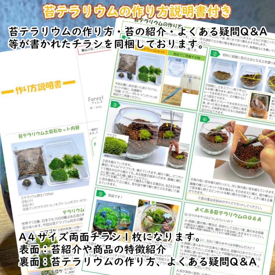 苔テラリウム 4点セット 苔パック 土 石 作り方説明書 手作り 自作 テラリウム アクアリウム 盆栽 観葉植物 苔 コケ パック キット セット メンテナンス Tera Inside 001 フォレストジャパン 通販 Yahoo ショッピング