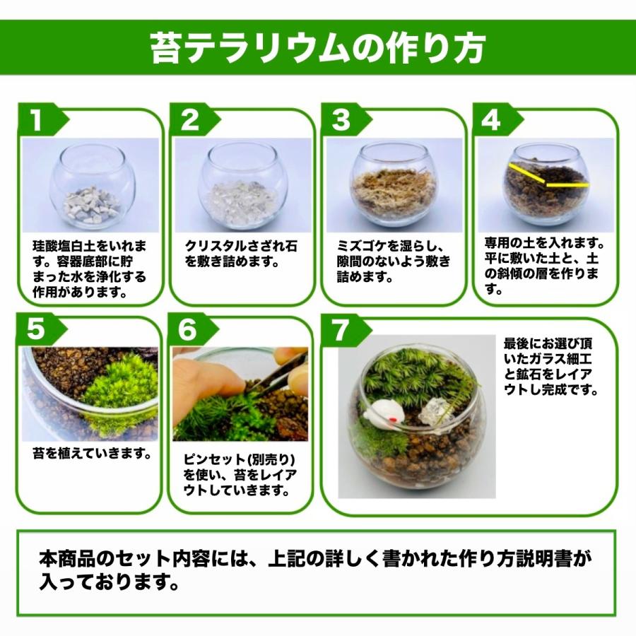 苔テラリウムキットsサイズ 選べる鉱石 ガラス細工 Diy キット 苔 テラリウムセット 手作り インテリア ハンドメイド Terakit 001 フォレストジャパン 通販 Yahoo ショッピング
