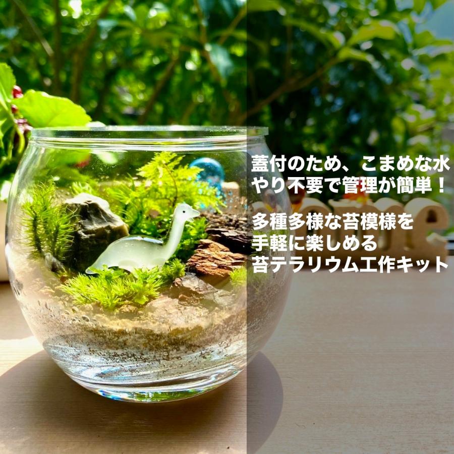 恐竜 苔テラリウム手作り工作キット ギフト プレゼント クリスマス 贈り物 セット テラリウム 観葉植物 コケリウム 手作り 作り方 Terakit 003 フォレストジャパン 通販 Yahoo ショッピング