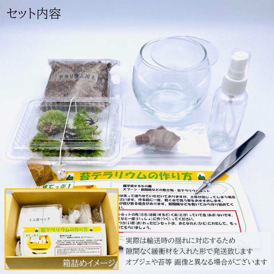動物 苔テラリウム手作り工作キット 夏休み 自由研究 宿題 小学校高学年 お金を節約 キット ハンドメイド セット