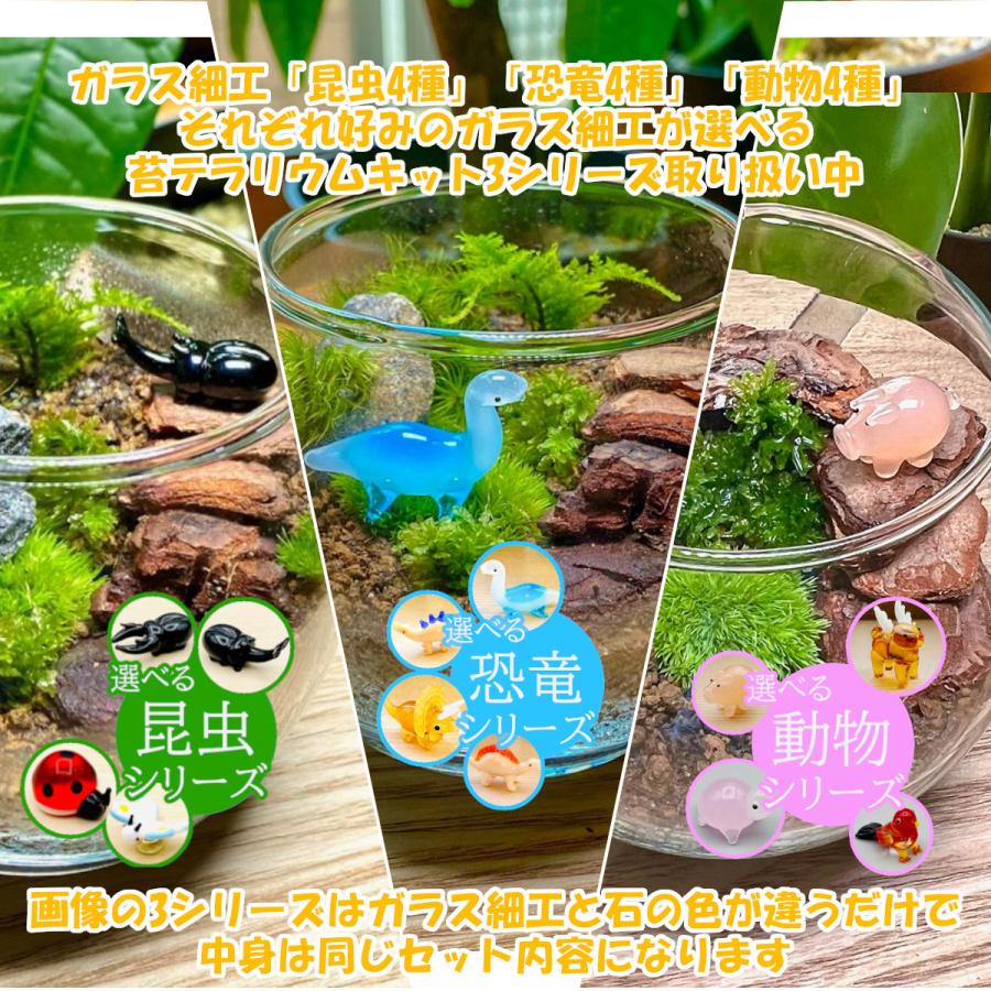 動物 苔テラリウム手作り工作キット 贈り物 プレゼント ギフト キット セット テラリウム 自作 ピンセット スプレー 敬老の日 母の日 父の日 冬休み 秋 Terakit 004 フォレストジャパン 通販 Yahoo ショッピング