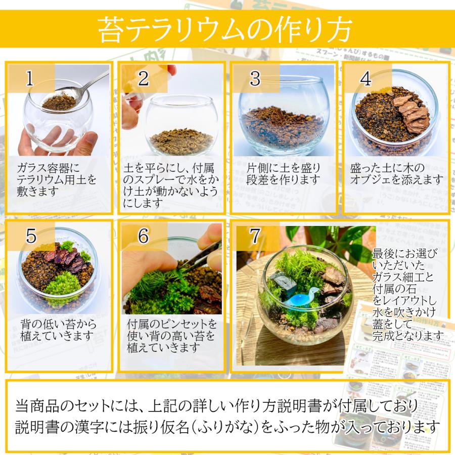 割り引き 昆虫 苔テラリウム手作り工作キット 夏休み 自由研究 宿題 小学校高学年 キット セット ハンドメイド スピード対応 全国送料無料