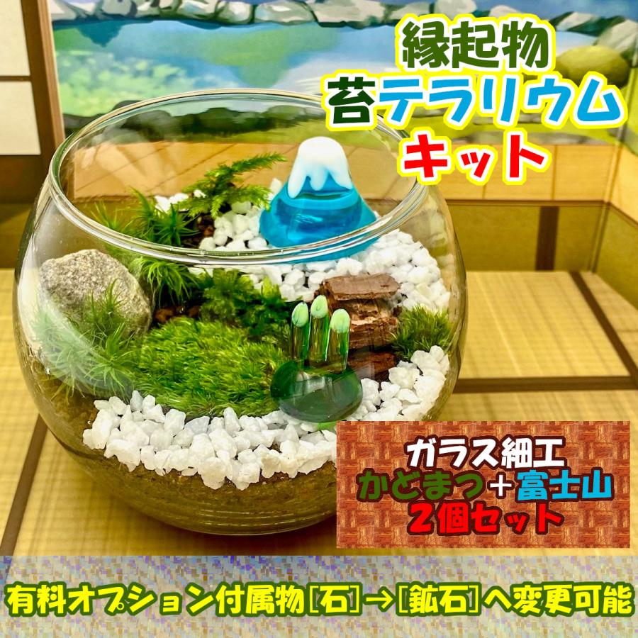 ガラス細工 2点セット 苔テラリウム 苔リウム 手作り工作キット プレゼント ギフト かどまつ 門松 富士山 セット 作り方 説明書付 縁起物 66%以上節約 ガラス細工 スタンド型2点セット