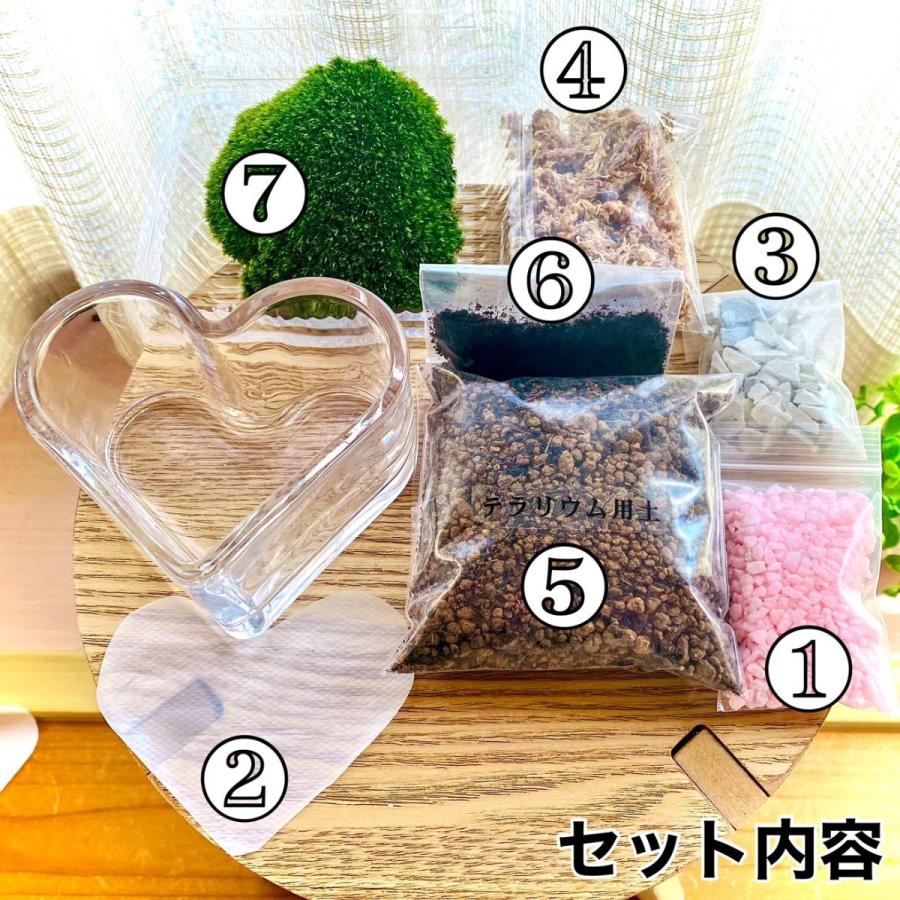 買い誠実 苔テラリウム コケリウム 苔リウム 手作りキットセット バレンタインデー ホワイトデー 初心者から中級者まで Wantannas Go Id