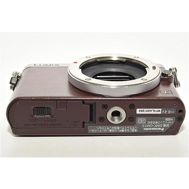 パナソニックミラーレス一眼 DMC-GM1S