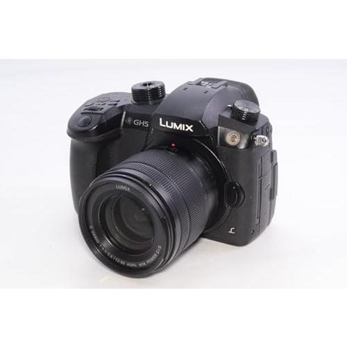 パナソニック(Panasonic) ミラーレス一眼カメラ ルミックス GH5