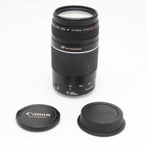 キャノン　望遠レンズ EF 75-300mm III カメラ　ズーム CANON EF75-300mm f4-5.6 iii レビュー:コスパ抜群の望遠ズーム