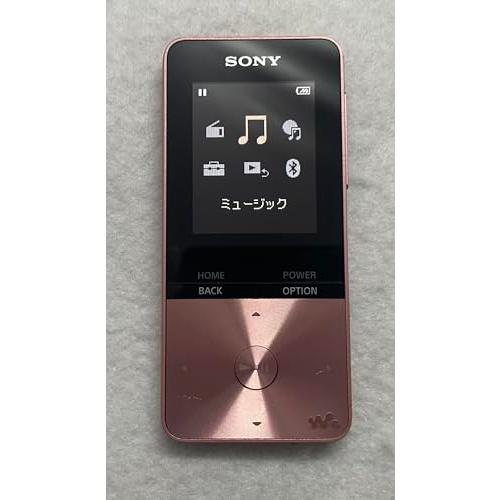 ソニー(SONY) ウォークマン Sシリーズ 4GB NW-S313 : MP3プレーヤー Bluetooth対応 最大52時間連続再生 イヤホン付属 |  | 01