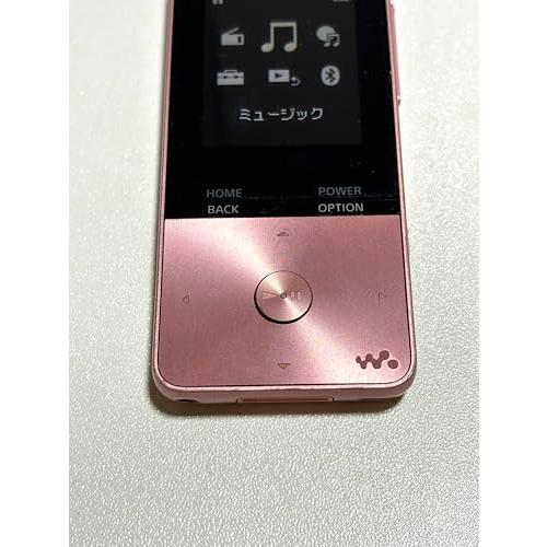 ポータブルプレーヤー SONY WALKMAN NW-S313 4GB SONY NW-S313 [4GB] 価格比較 - 価格.com
