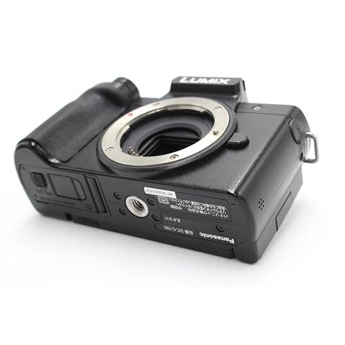 パナソニック ミラーレス一眼カメラ ルミックス G100K 標準