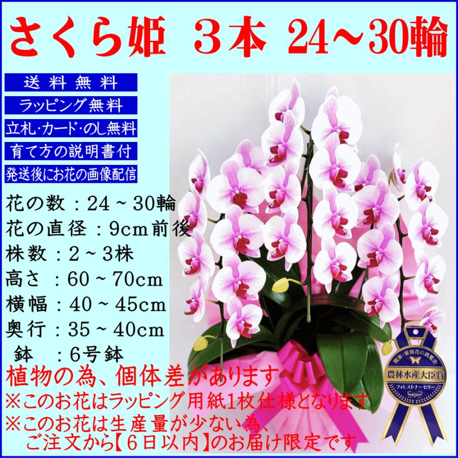 胡蝶蘭 お祝い お供え 開店祝い ★クーポン発行中★ 移転祝い 開業祝い 開院祝い 就任祝 昇進祝 大輪 白 3本立ち 誕生日祝 退職 還暦 1_3