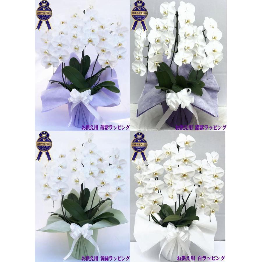 21新発 胡蝶蘭 開店祝い 大輪 白 3本立ち 24 25輪 ギフト お祝い 移転祝い 開業祝い 誕生日祝い 就任祝い 退職 還暦 お供え 命日 Aynaelda Com