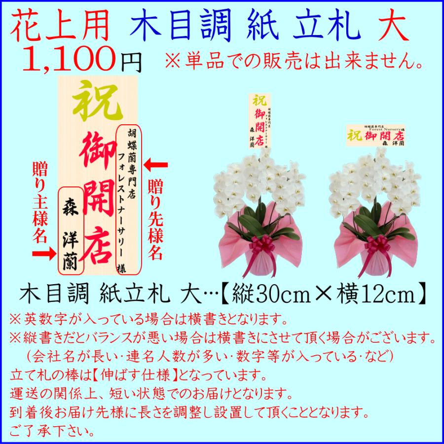 胡蝶蘭 お祝い お供え 開店祝い ★クーポン発行中★ 移転祝い 開業祝い 開院祝い 就任祝 昇進祝 大輪 白 3本立ち 誕生日祝 退職 還暦 1_14