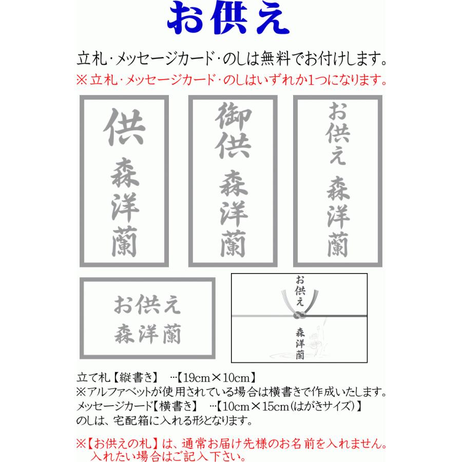 胡蝶蘭 開店祝い 大輪 白 2本立ち 14 16輪 お祝い ギフト 移転祝い 開業祝い 誕生日祝い 就任祝い 退職祝い 還暦祝い 胡蝶蘭 お供え 胡蝶蘭専門店フォレストナーサリー 通販 Yahoo ショッピング