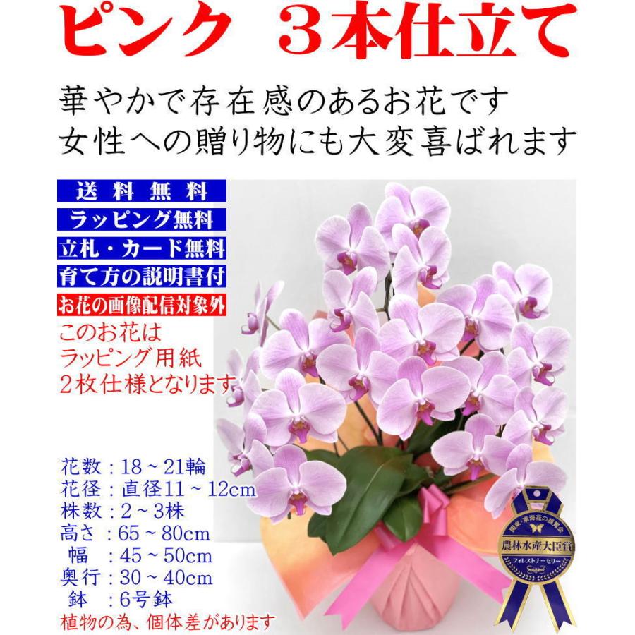 胡蝶蘭 お祝い 大輪 白 3本立ち 18 21輪 開店祝い ギフト 移転祝い 開業祝い 誕生日祝い 就任祝い 退職祝い 還暦祝い 胡蝶蘭 お供え 胡蝶蘭専門店フォレストナーサリー 通販 Yahoo ショッピング