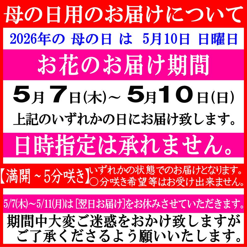 胡蝶蘭 お祝い お供え ★クーポン発行中★ 開店祝い 移転祝い 開業祝い 開院祝い 就任祝 昇進祝 大輪 白 3本立ち 誕生日祝 退職 還暦 1_16