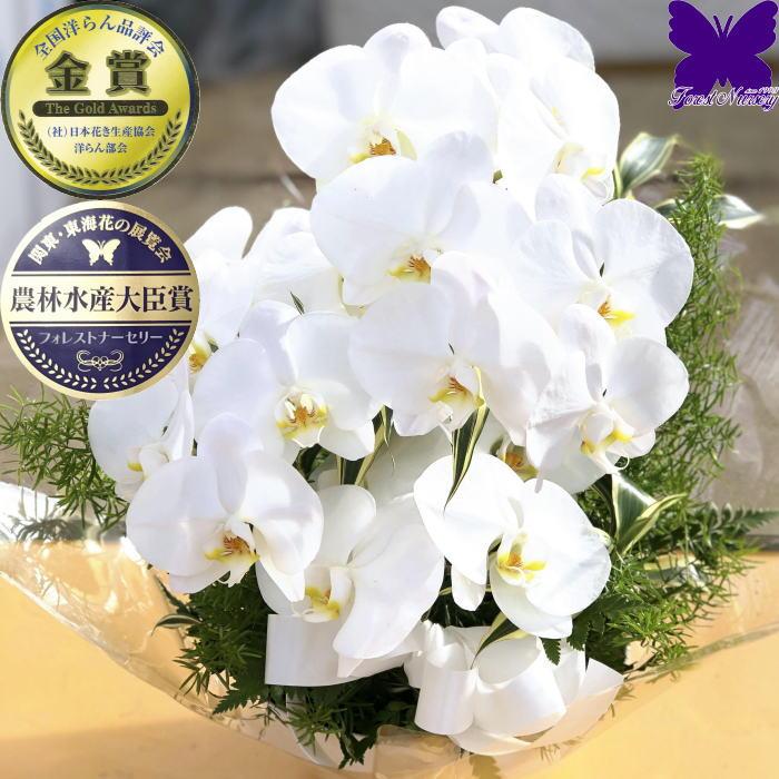 胡蝶蘭 お供え アレンジメント 白 16 18輪 開店祝い 切花 ギフト お祝い 移転祝い 開業祝い 誕生日祝い 就任祝い 退職 還暦 お供え 命日 胡蝶蘭専門店フォレストナーサリー 通販 Yahoo ショッピング
