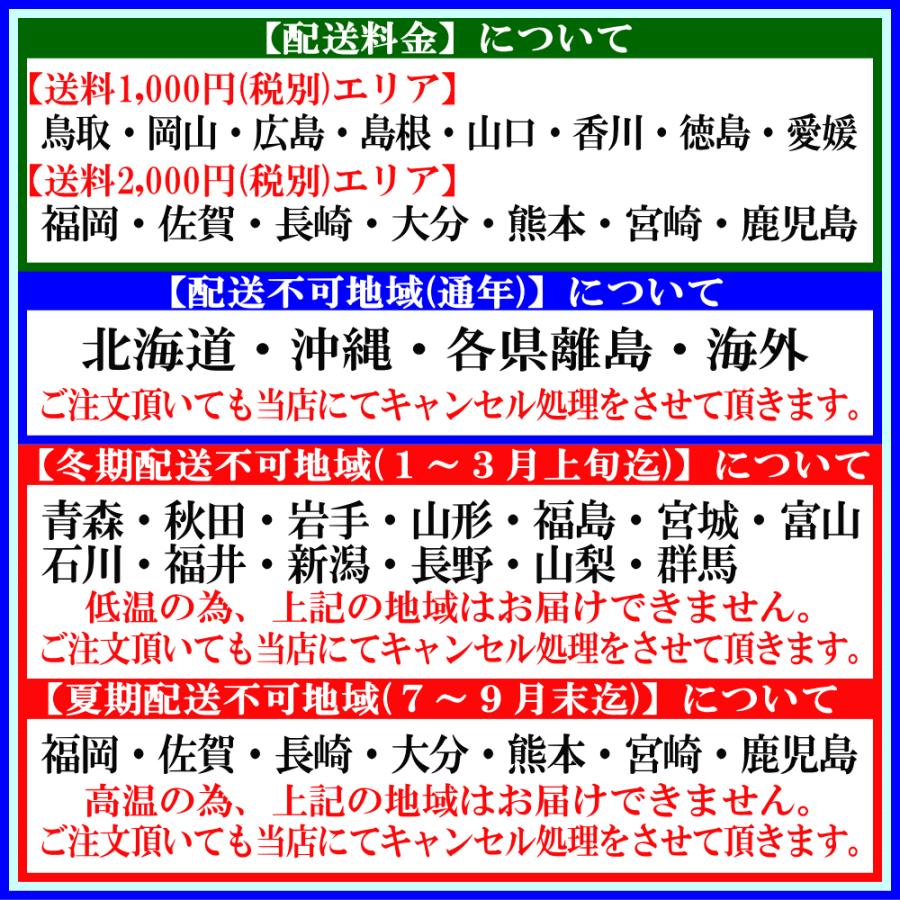 胡蝶蘭 アレンジメント お祝い お供え ★1000円OFFクーポン発行中12/27まで★ 白 3〜5本 21〜24輪 開店祝 移転祝 開業祝 誕生日祝 就任祝 退職 還暦 ギフトの画像