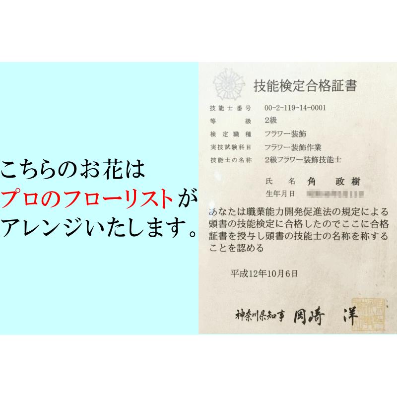 胡蝶蘭 お供え アレンジメント 白 16 18輪 開店祝い 切花 ギフト お祝い 移転祝い 開業祝い 誕生日祝い 就任祝い 退職 還暦 お供え 命日 胡蝶蘭専門店フォレストナーサリー 通販 Yahoo ショッピング
