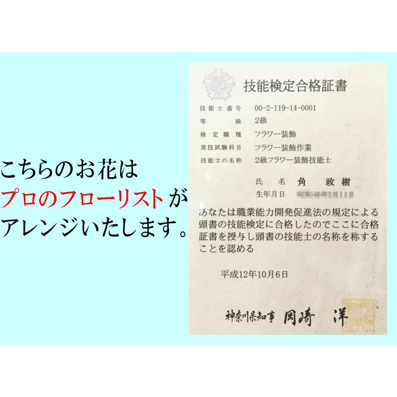 胡蝶蘭 アレンジメント お祝い お供え ★1000円OFFクーポン発行中12/27まで★ 白 3〜5本 21〜24輪 開店祝 移転祝 開業祝 誕生日祝 就任祝 退職 還暦 ギフトの画像