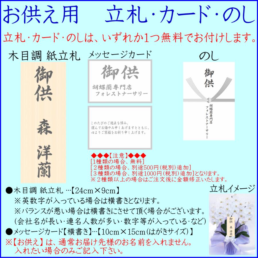 胡蝶蘭 アレンジメント お祝い お供え ☆1000円OFFクーポン発行中12/27