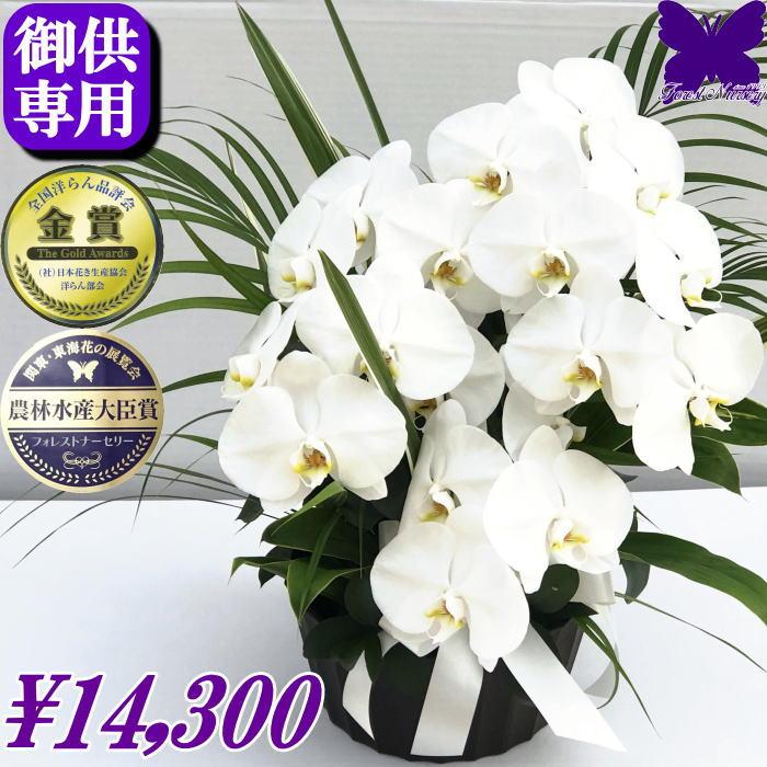 お供え花　仏花　お花のみ一対　百合　胡蝶蘭　アネモネ お供え花 仏花 お花のみ一対 百合 胡蝶蘭 アネモネ 専用です
